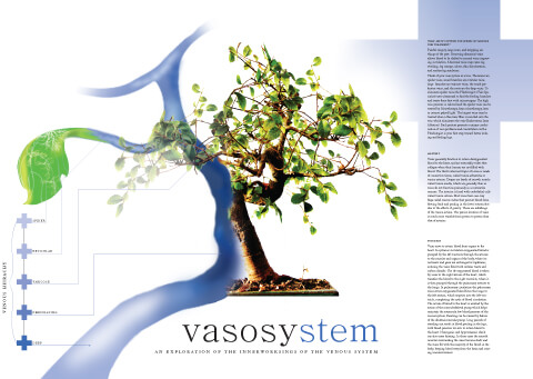 Vasosystem Anchor - Vein Treee